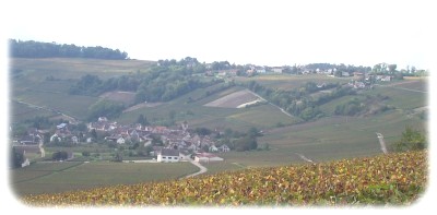 Les vignes de champagne de Bonneil et du Mont de Bonneil